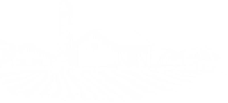 Bg Img 1