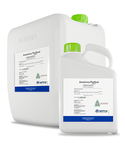 AMETRINA 500 SC bodegon web