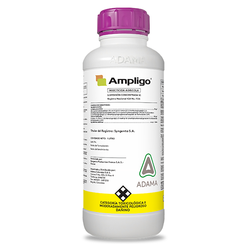 AMPLIGO 1 litro web