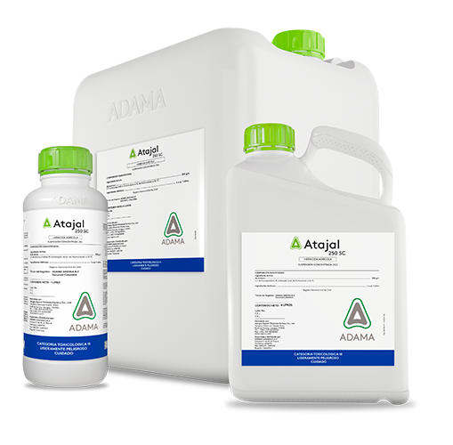ATAJAL Bodegón web