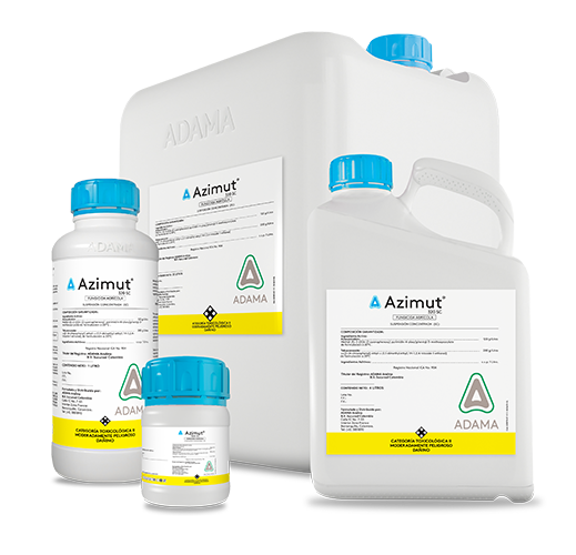 AZIMUT bodegón web