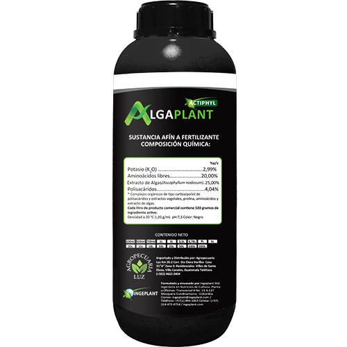 Algaplant Guatemala web