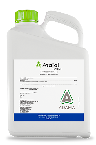 Atajal 4 litros web