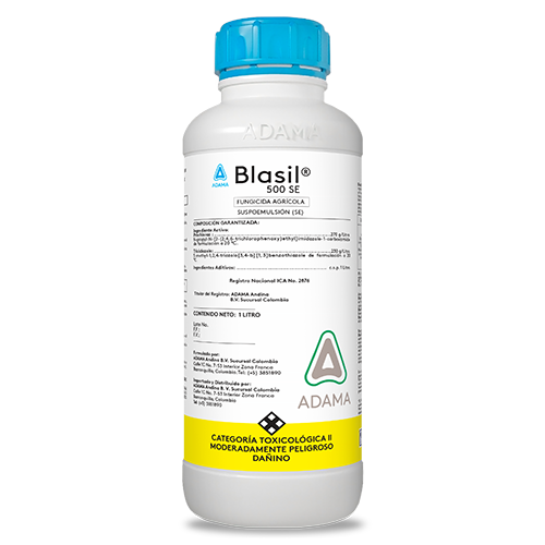 Blasil 1 litro web