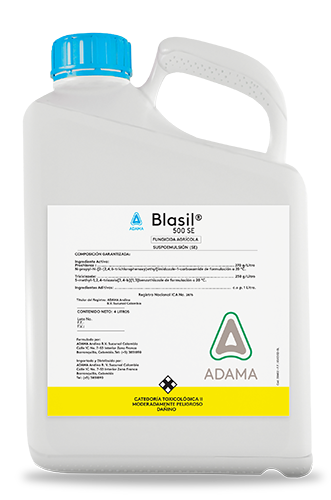 Blasil garrafa 4 litros web