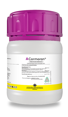 Cormoran 250 cc web
