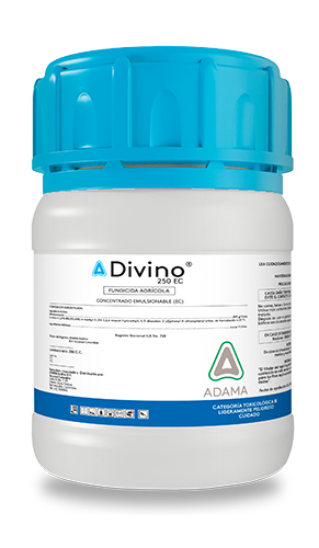 DIVINO envase 250 cc web