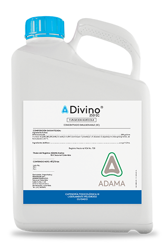 DIVINO garrafa 4 litros web