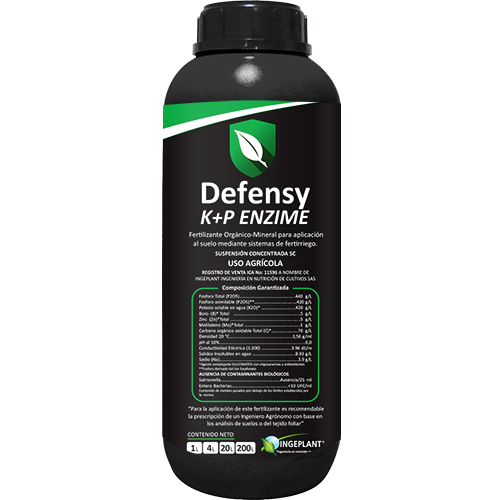 Defensy web