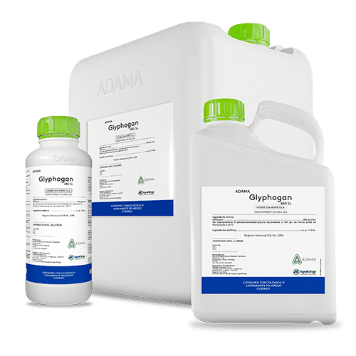 Glyphogan bodegon 500x500 1