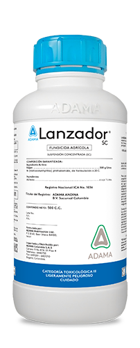 Lanzador 500 cc web