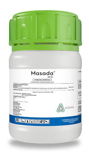 MASADA 200 cc web