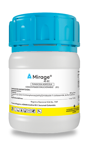 MIRAGE 100 cc web
