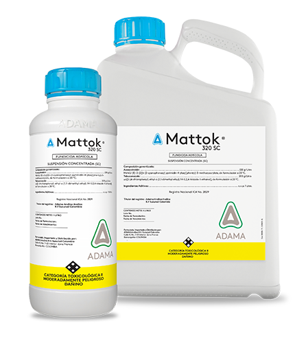 Mattok Bodegón web