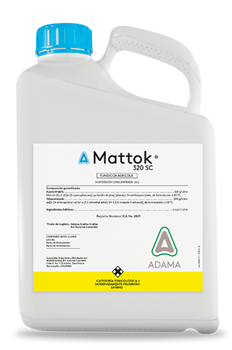 Mattok garrafa 4 litros web