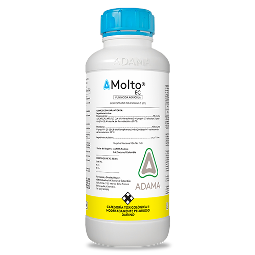 Molto EC x 1 litro web
