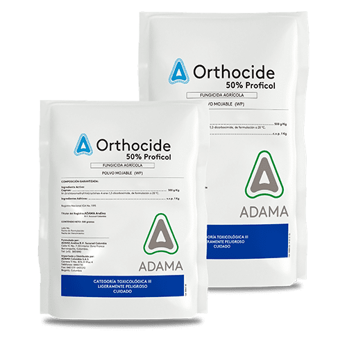 ORTHOCIDE bodegon bolsas 500x500 1