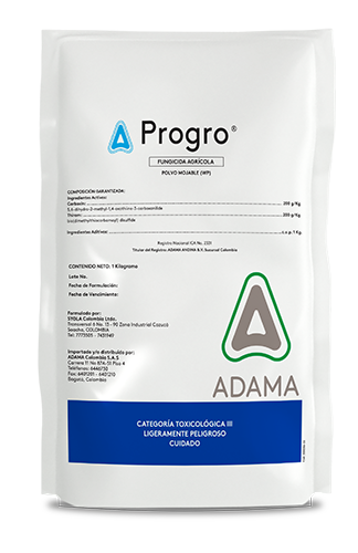 PROGRO 1 K web