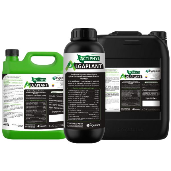 Actiphyl Algaplant