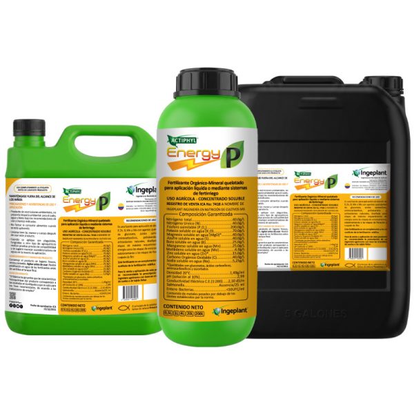 Actiphyl Energy P