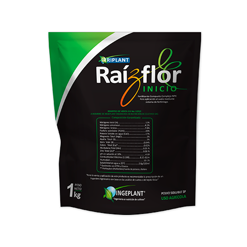 Raizflor web