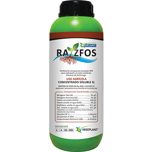 Raizfos web