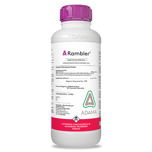 Rambler 1 litro web