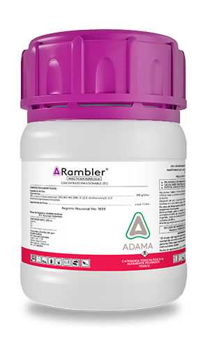 Rambler 200 cc web