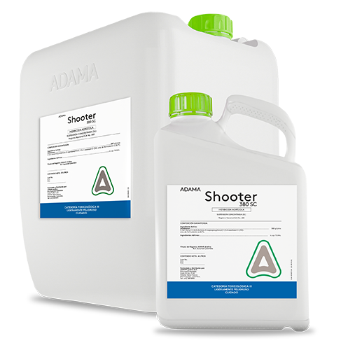 SHOOTER BODEGON web