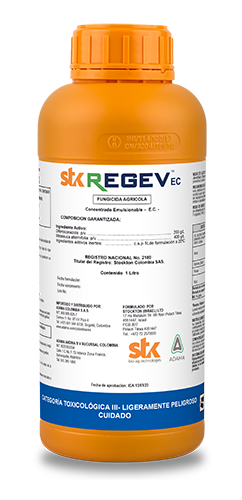 STK REGEV X 1 L web