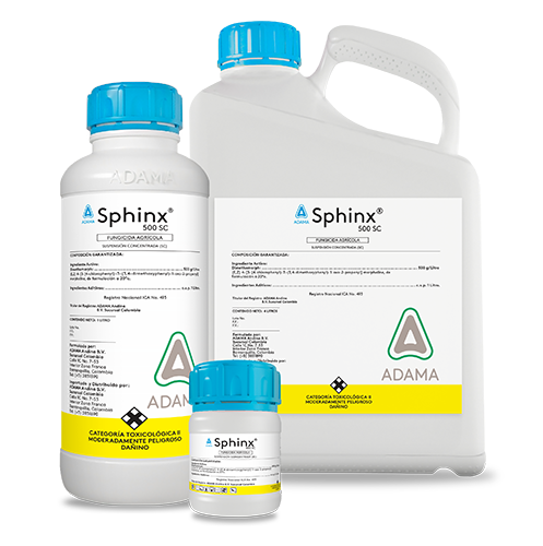Sphinx bodegon web