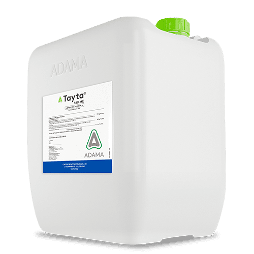 TAYTA bidon 20 litros 500x500 1