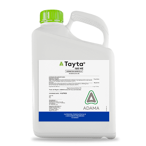 TAYTA envase 4 litros 500x500 1