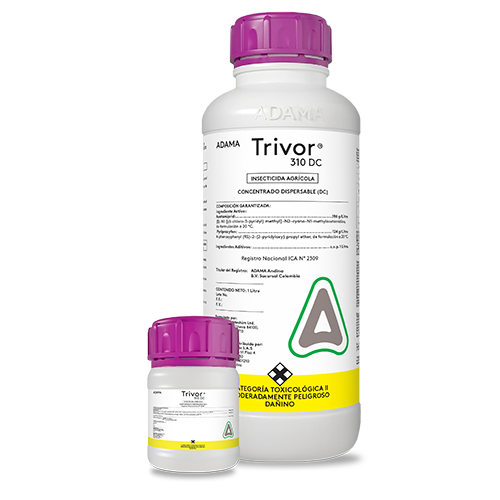 TRIVOR Bodegon web