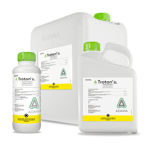 TROTON bodegon 500x500 1