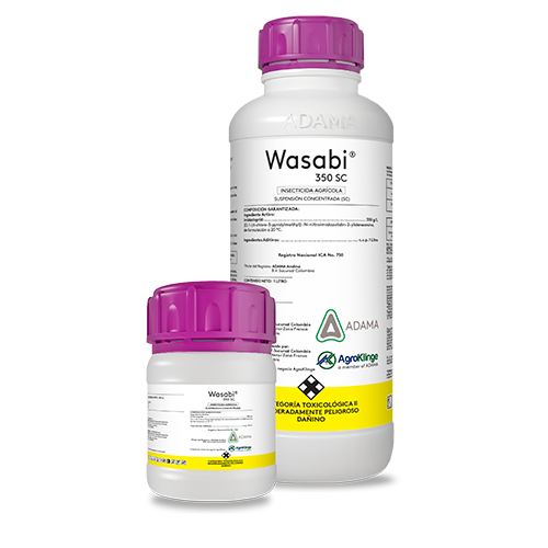Wasabi 350 SC bodegón web