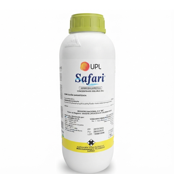 Safari