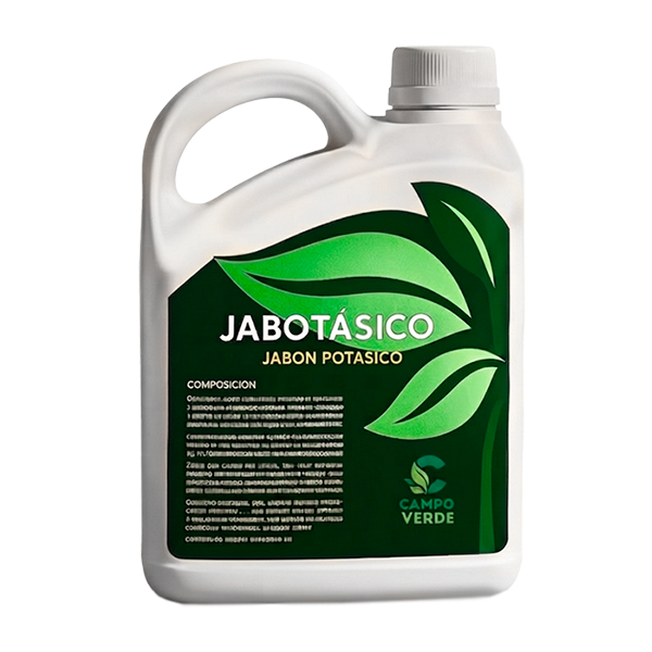 Jabotásico