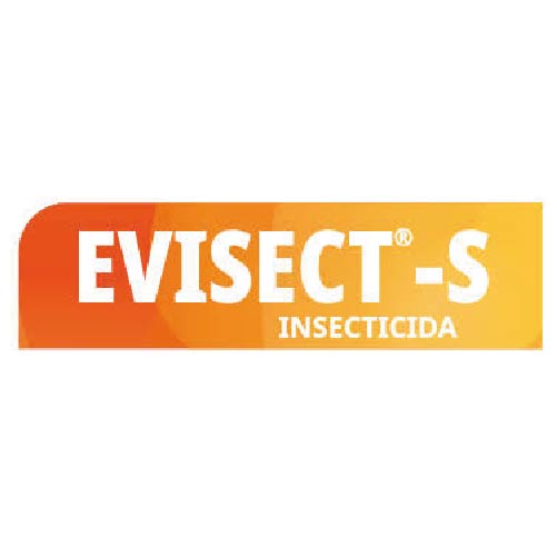Evisect