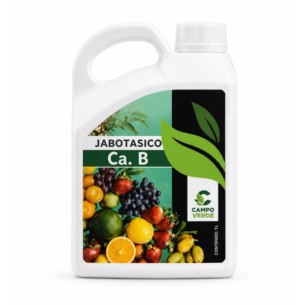 Jabotásico CA B