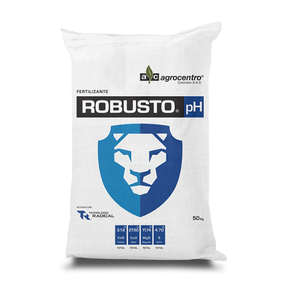 Robusto
