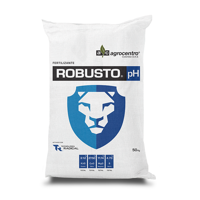 Robusto